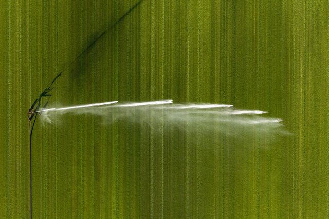 A fine spray of irrigation water crossing a green field