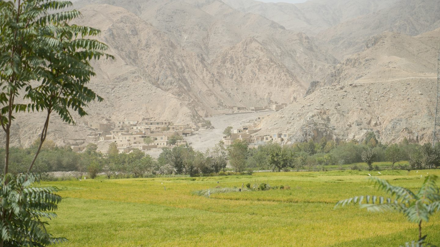 Cultivated green fields set against dry mountain slopes