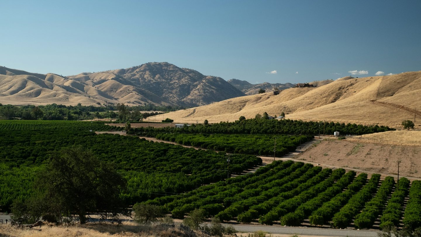 Citrus orchards laid out below dry golden hills