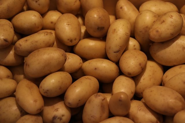 Freshly lifted potatoes gathered together