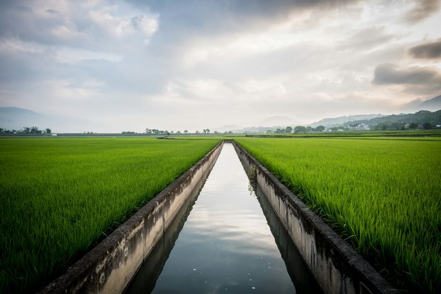A straight irrigation canal running between bright green fields