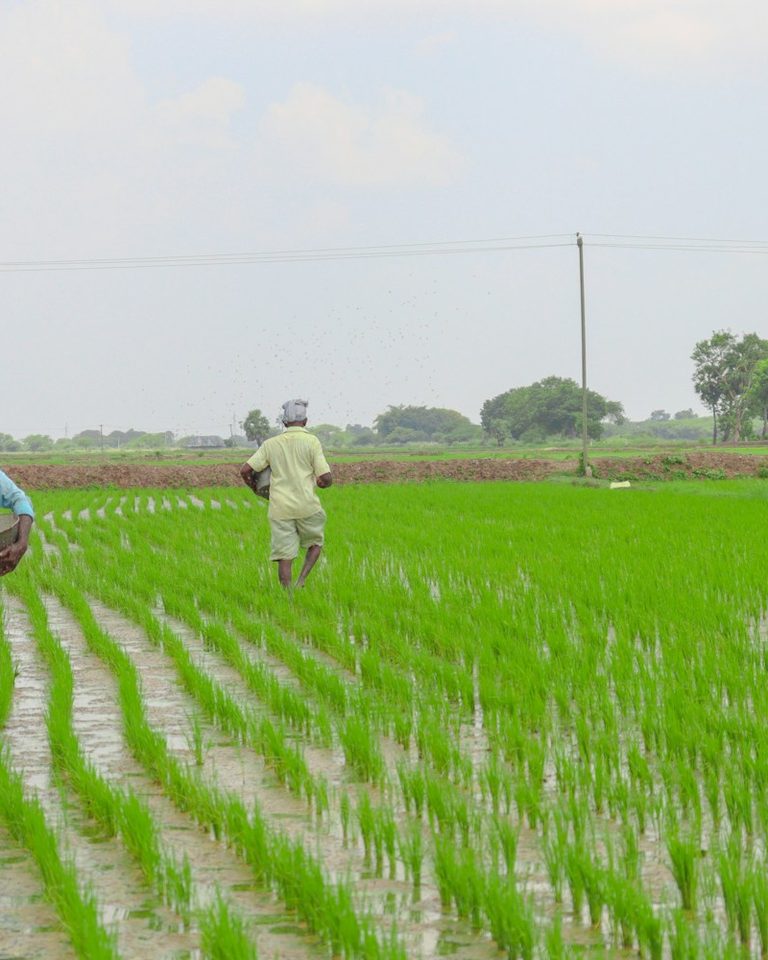 A group of farmers walking together across a lush green field