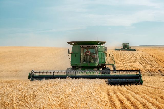 Two combine harvesters working across a wide cereal field