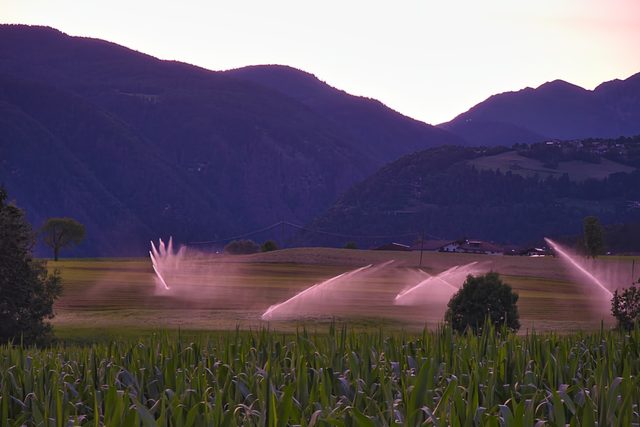 Irrigation sprinklers watering a field at dusk with mountains behind