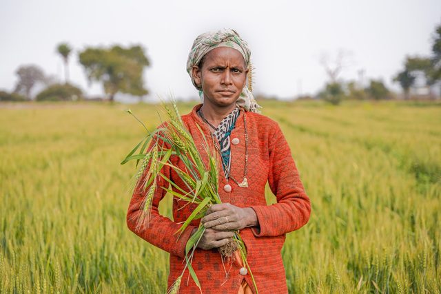 A woman farmer standing in a field holding a young plant