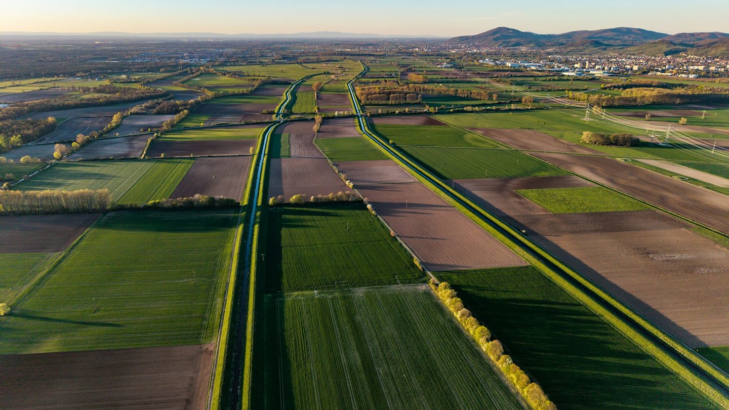 Aerial view of extensive farmland divided into cultivated blocks