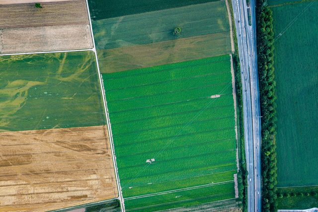 Aerial view of farmland blocks in contrasting shades of green